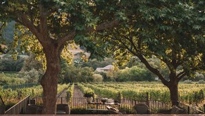 A vineyard with rows of grapevines, a paved walkway, and a seating area with chairs and a table. - La Clé Lodge (Franschhoek)