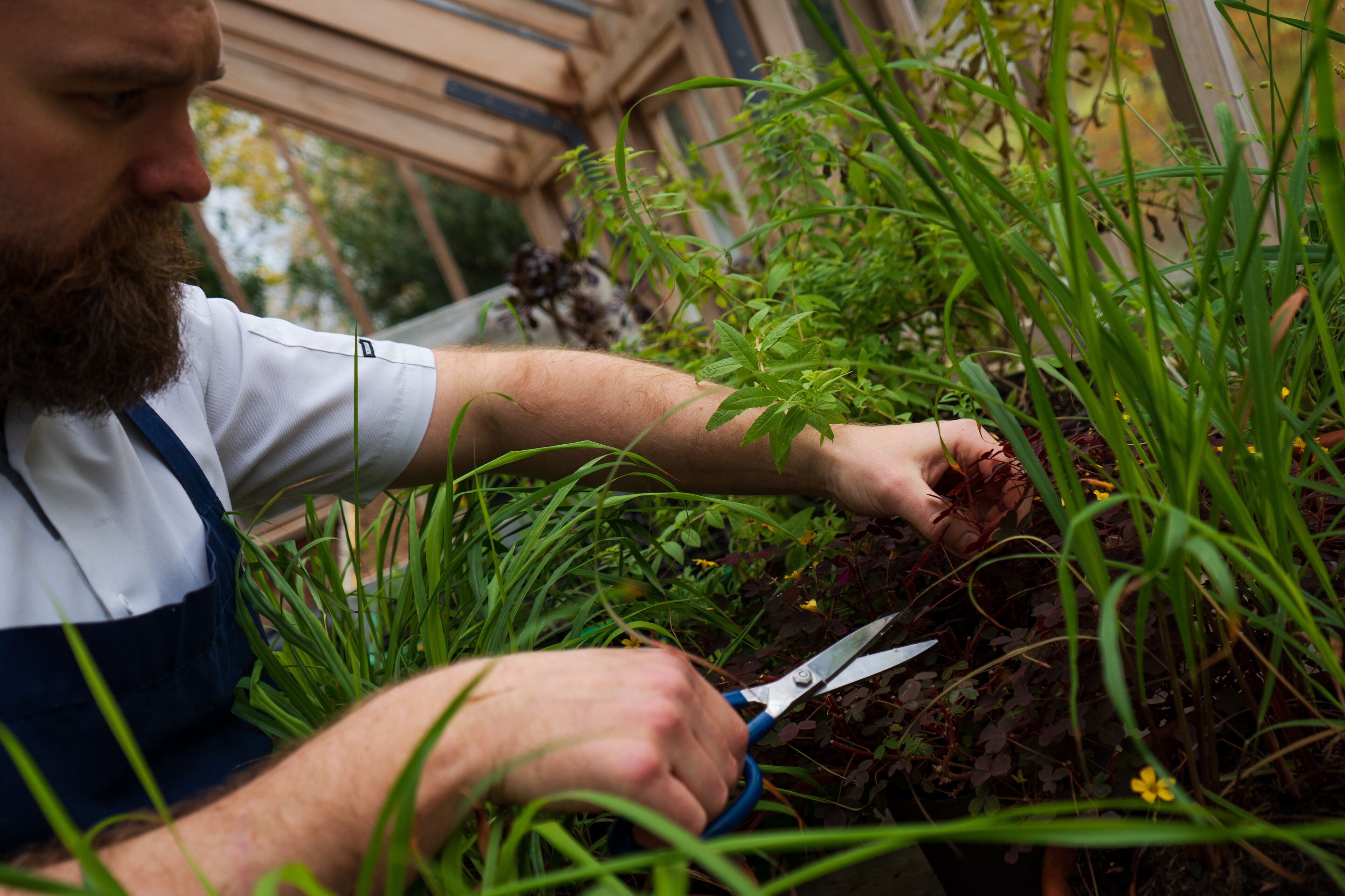 Foto - Goldsborough Hall