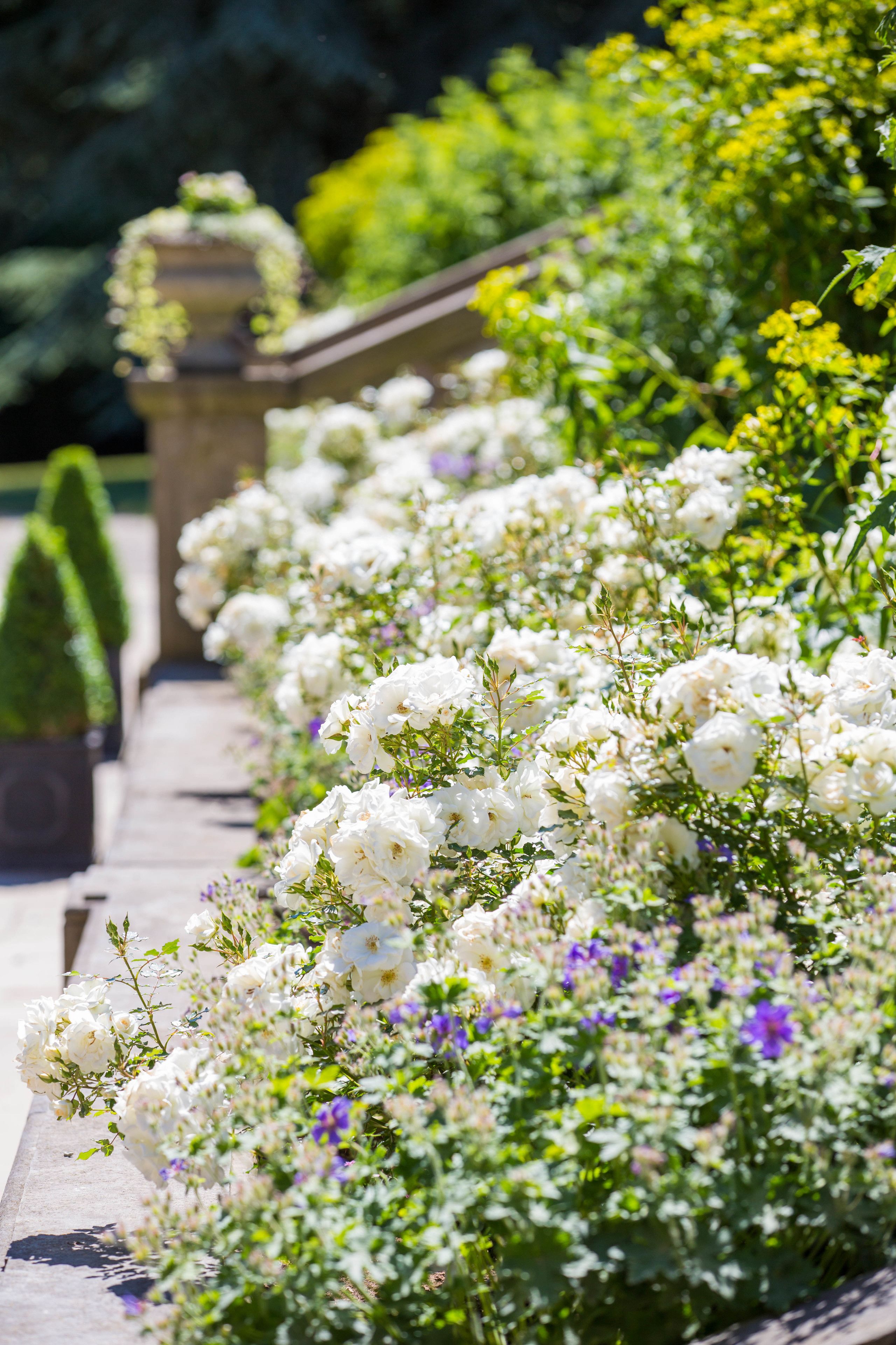 Foto - Goldsborough Hall