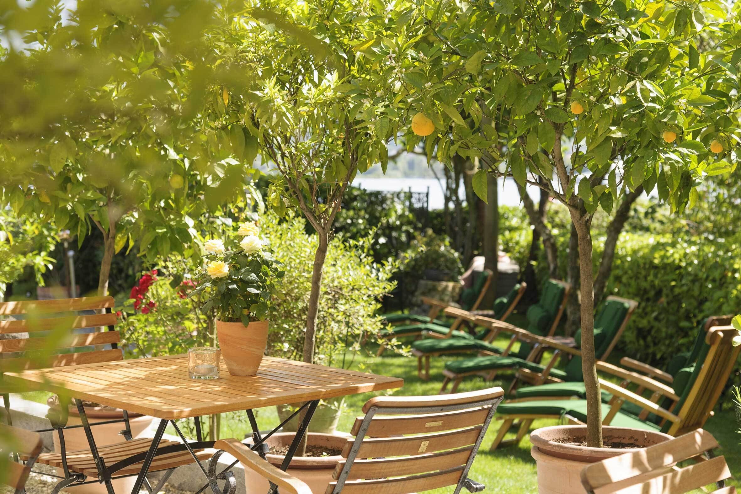 An outdoor seating area with a wooden table and chairs, surrounded by potted plants and a view of a body of water.