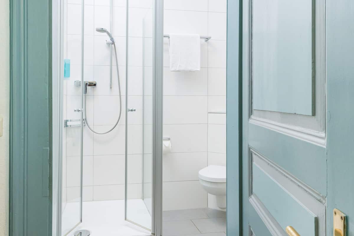 double room (lakeseite) | bathroom | shower, free toiletries, hair dryer, towels