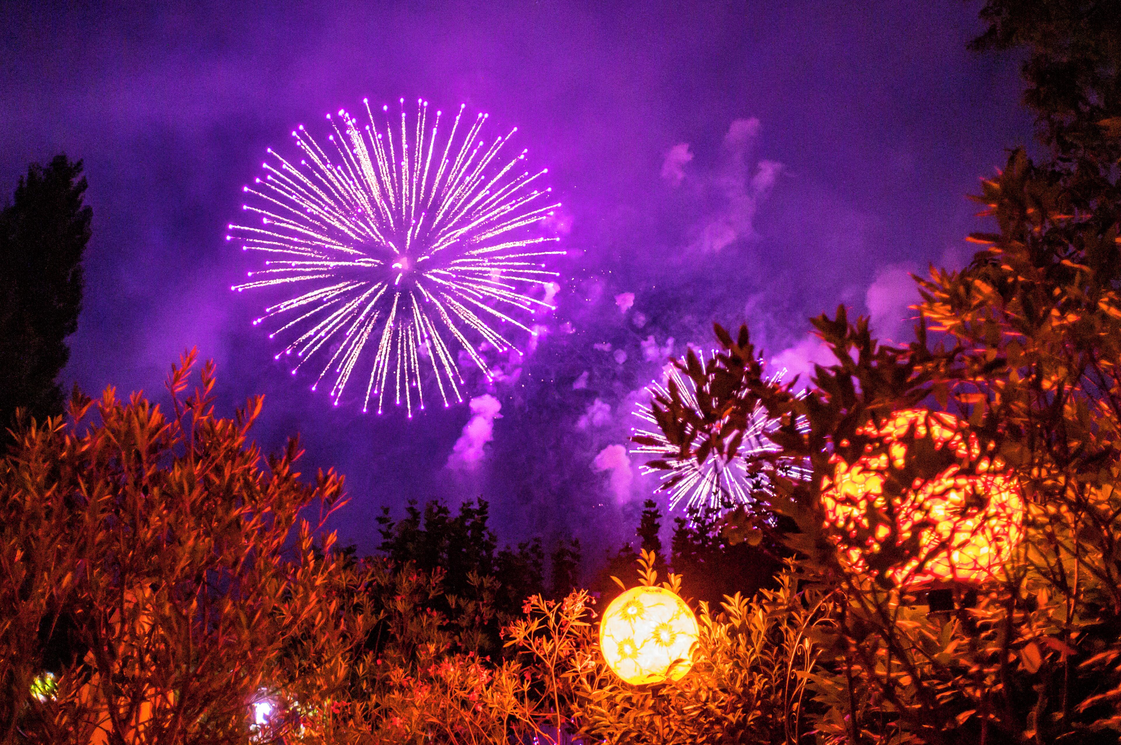 Foto - Hotel Barleben am See
