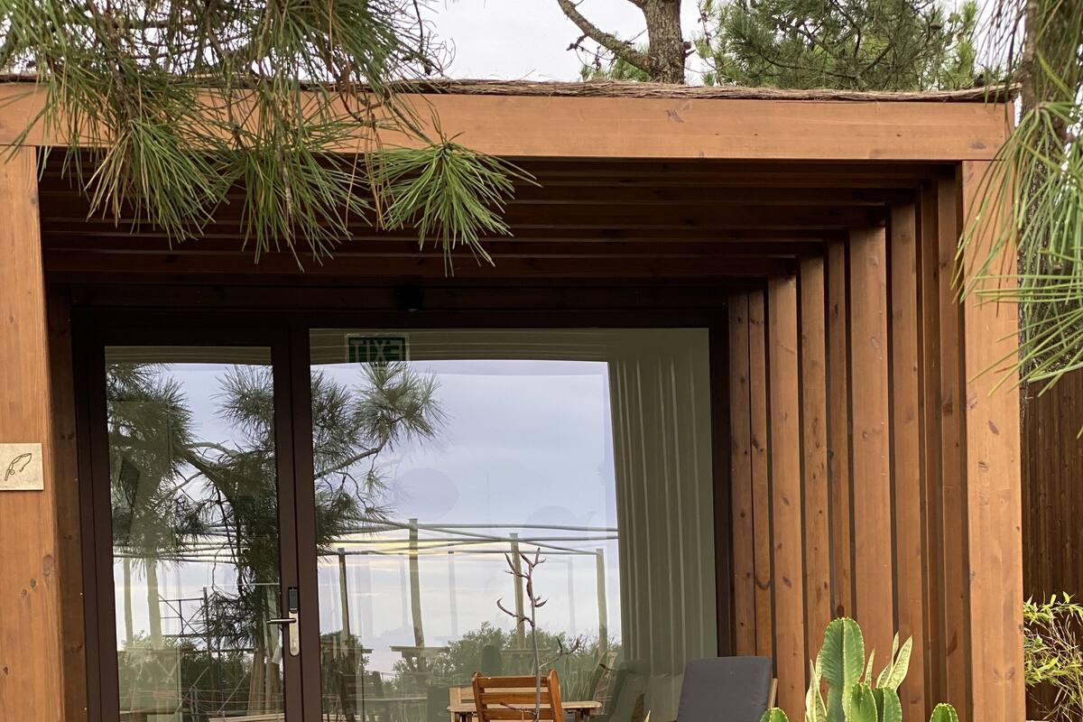 A wooden structure with a glass door, a wooden deck, a cactus, and outdoor furniture.