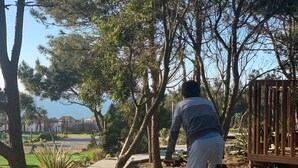 Uma pessoa anda de bicicleta em uma passarela de madeira cercada por árvores e vegetação.