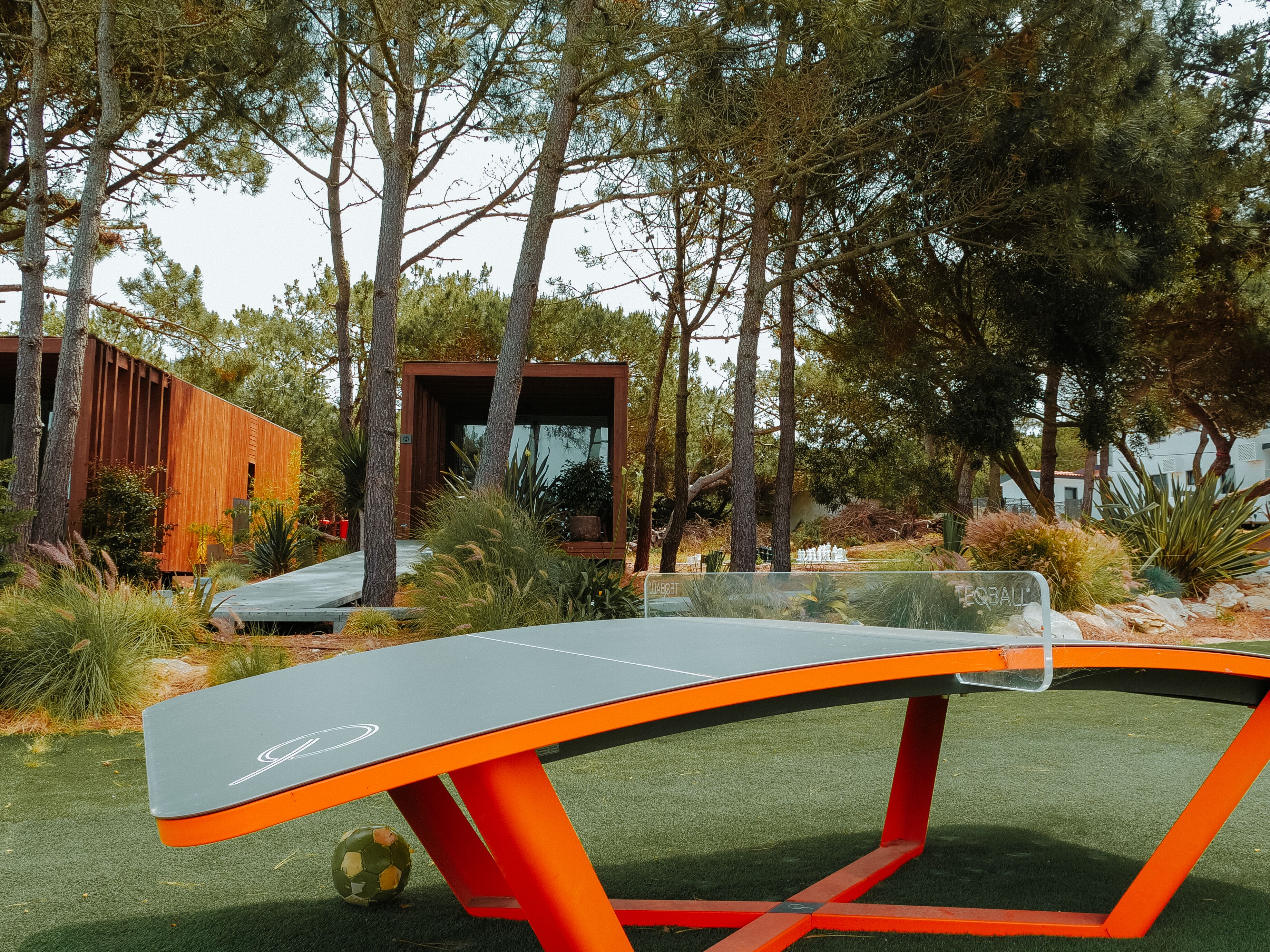A ping pong table with a soccer ball, surrounded by trees and a wooden structure.