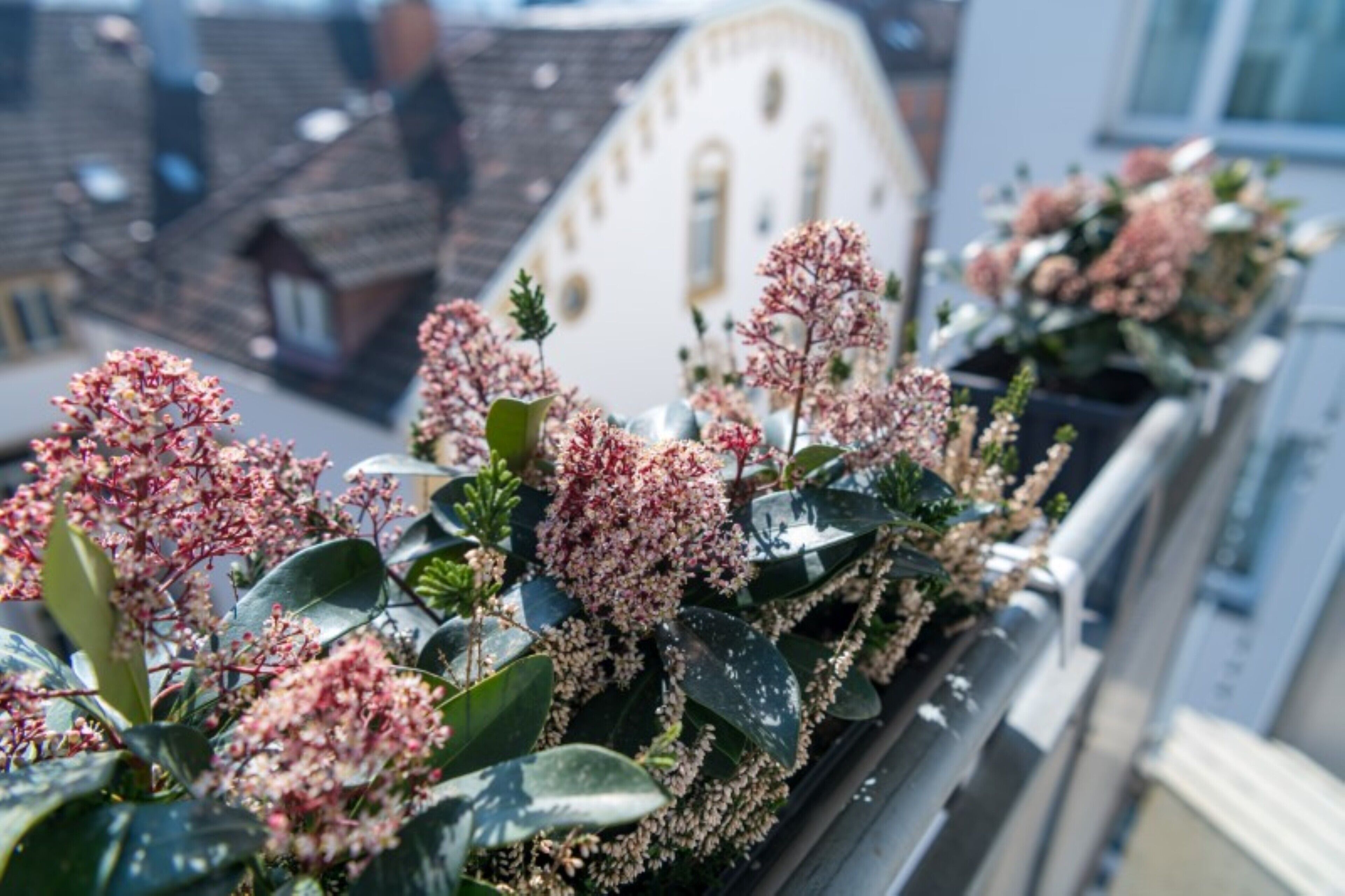 Foto - Hotel Viva Sky