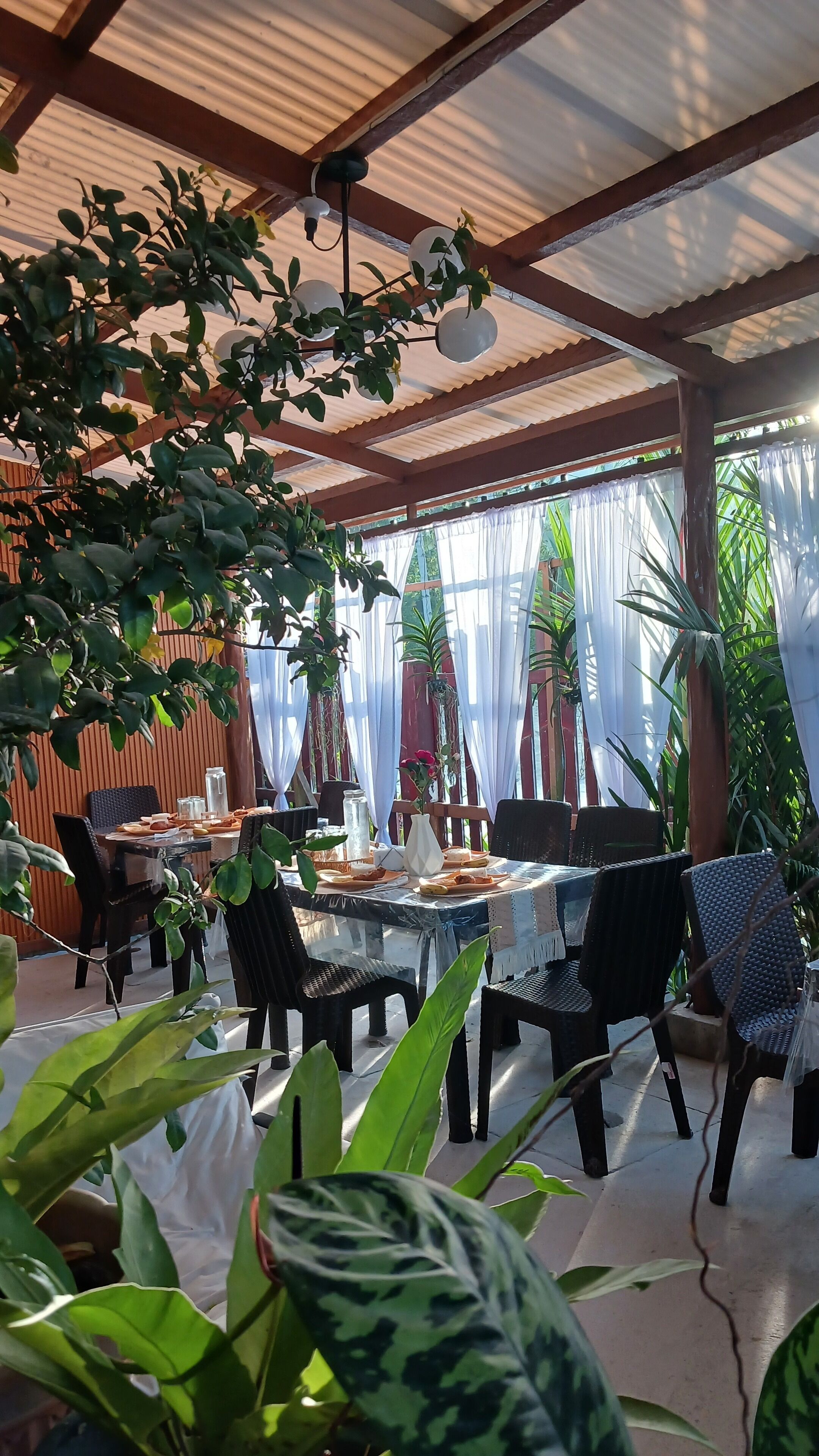 Habitación estándar | Servicio de comidas en la habitación