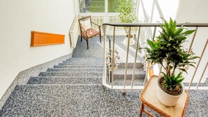 A staircase with a patterned carpet, a chair, and a potted plant. - Pension & Restaurant Nordstern (Cottbus)
