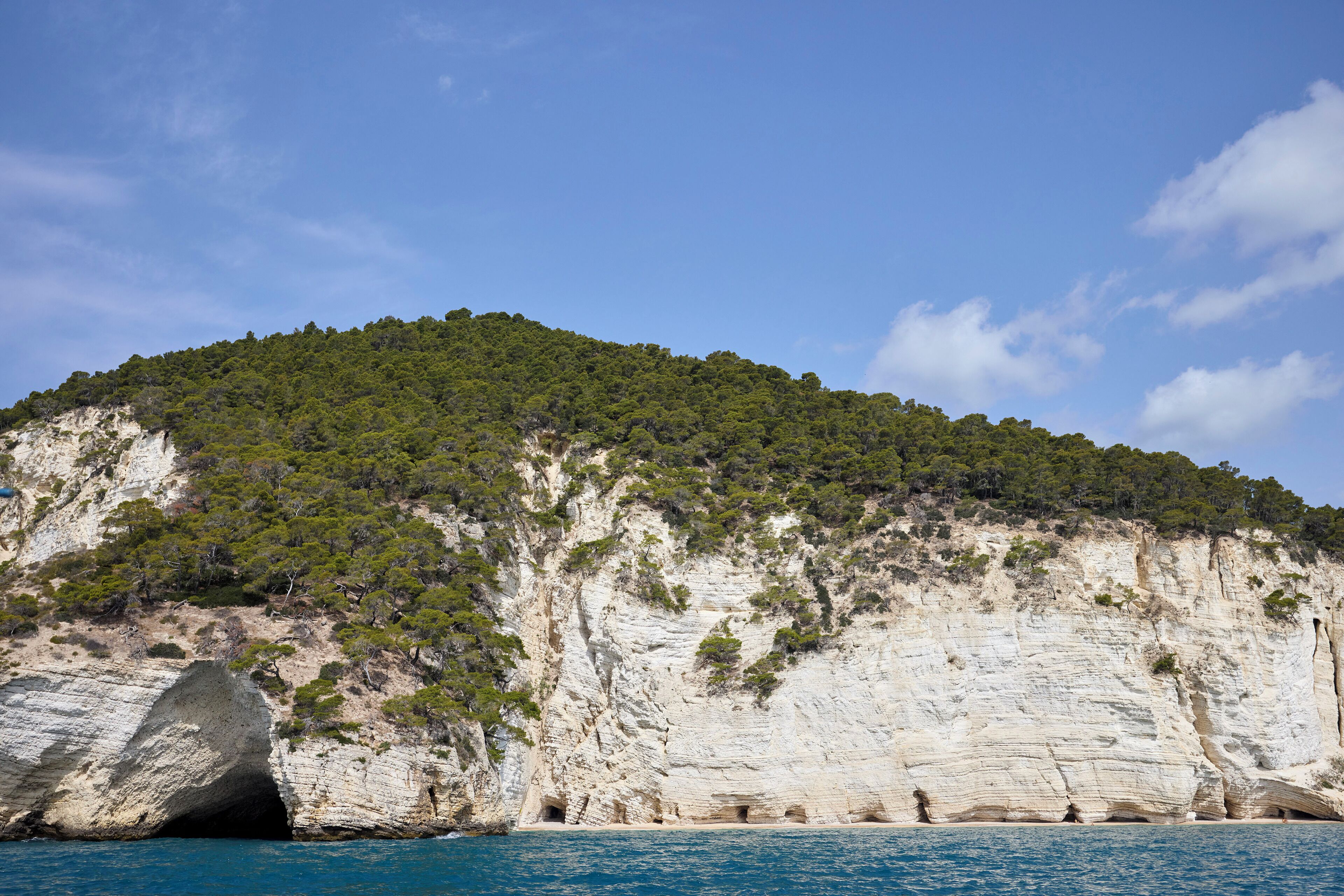 Une falaise côtière avec une entrée de grotte, une végétation luxuriante et un ciel bleu dégagé.