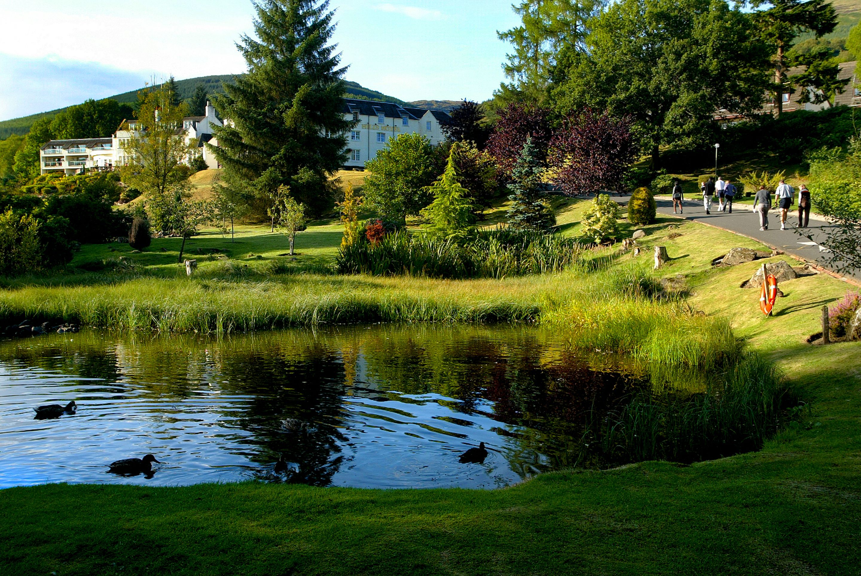 A serene pond with ducks, surrounded by lush greenery and a pathway with people walking.