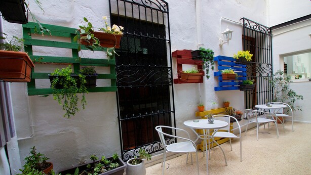 An outdoor patio with white metal chairs and tables, surrounded by potted plants and a white wall. - Hostal El Mercat (Villajoyosa)