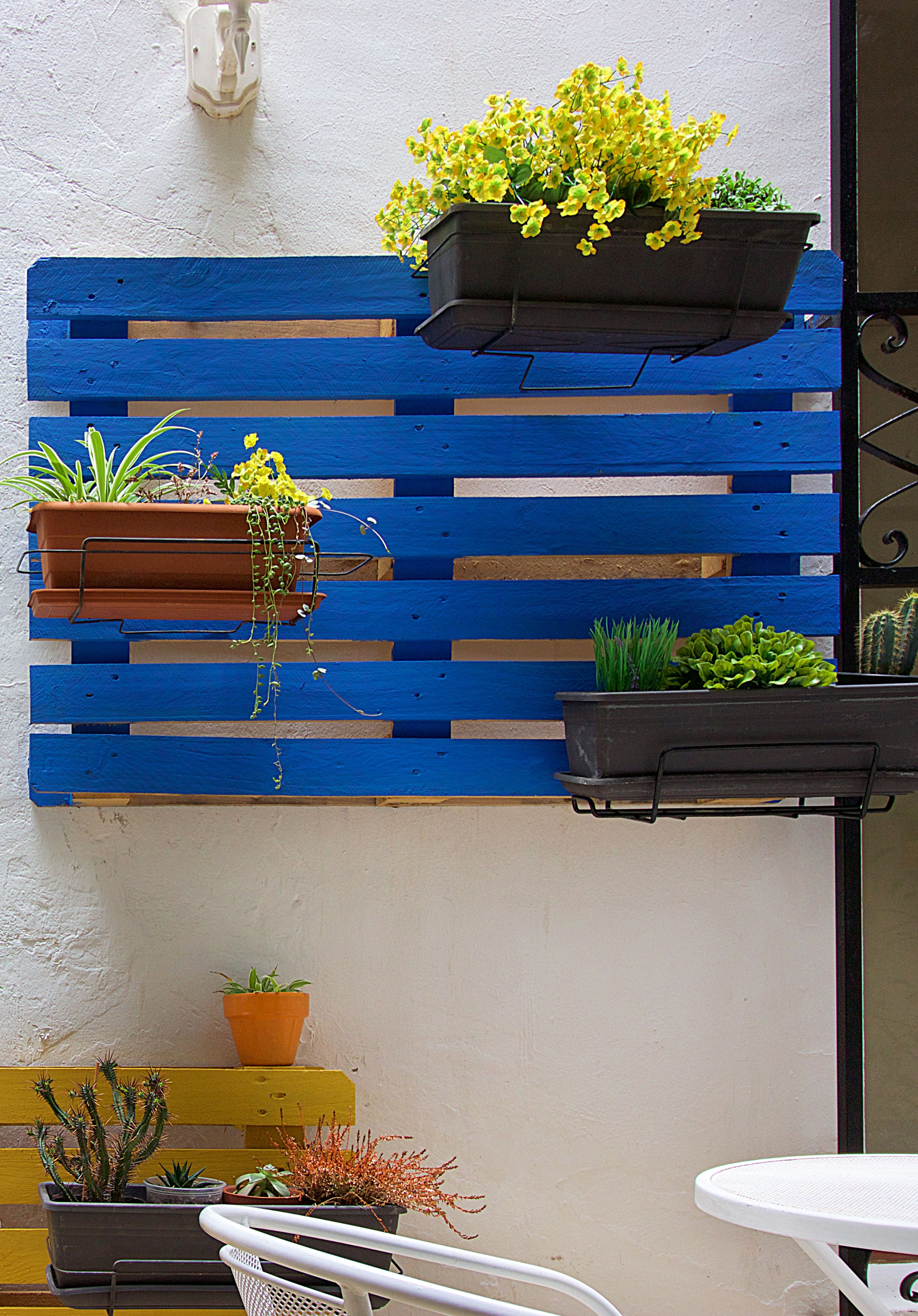 Pared azul y blanca con diversas macetas y una silla blanca.