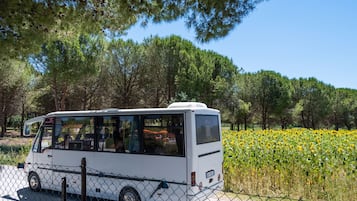 Free beach shuttle