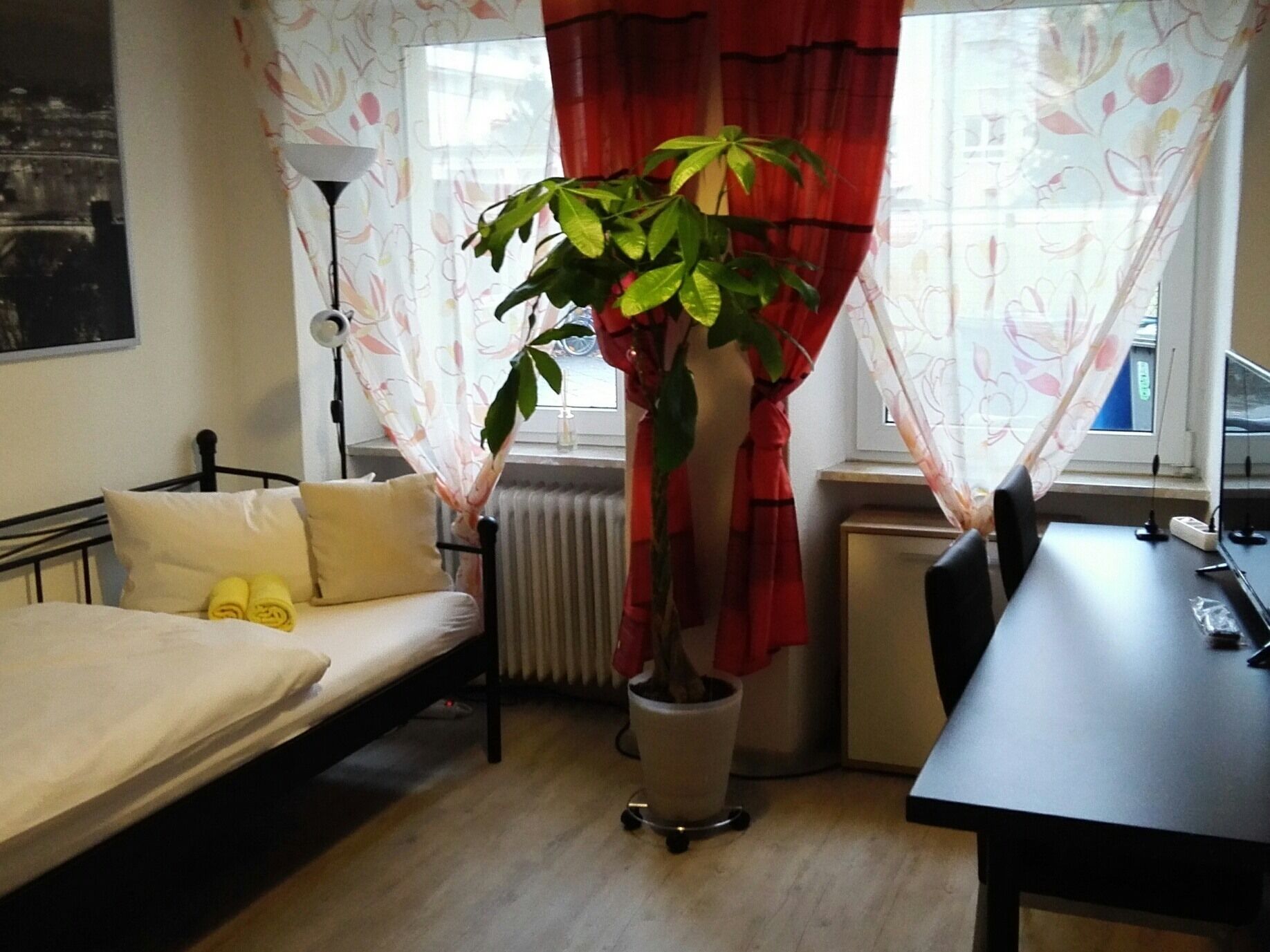 A small, tidy room with a bed, a desk, and a potted plant.