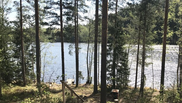Family Cottage, 2 Bedrooms, Beach View, Lakeside | View from room