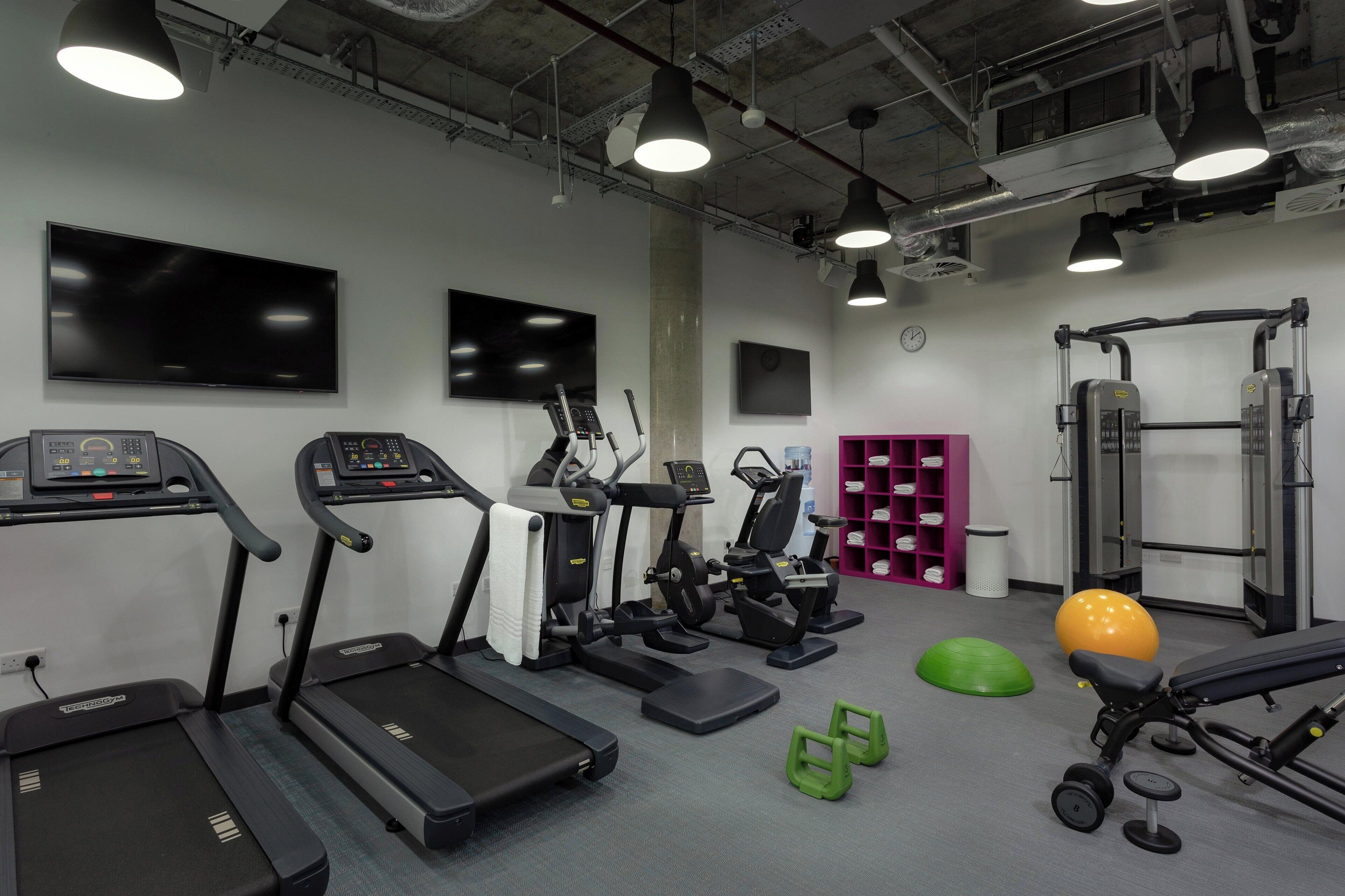 A gym with treadmills, elliptical machines, a weight bench, and free weights.