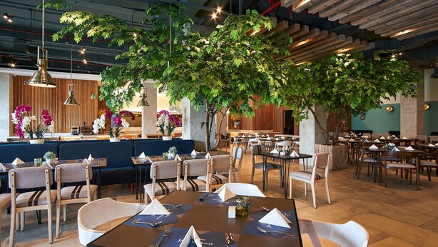 A restaurant with wooden tables, chairs, and a large indoor tree.