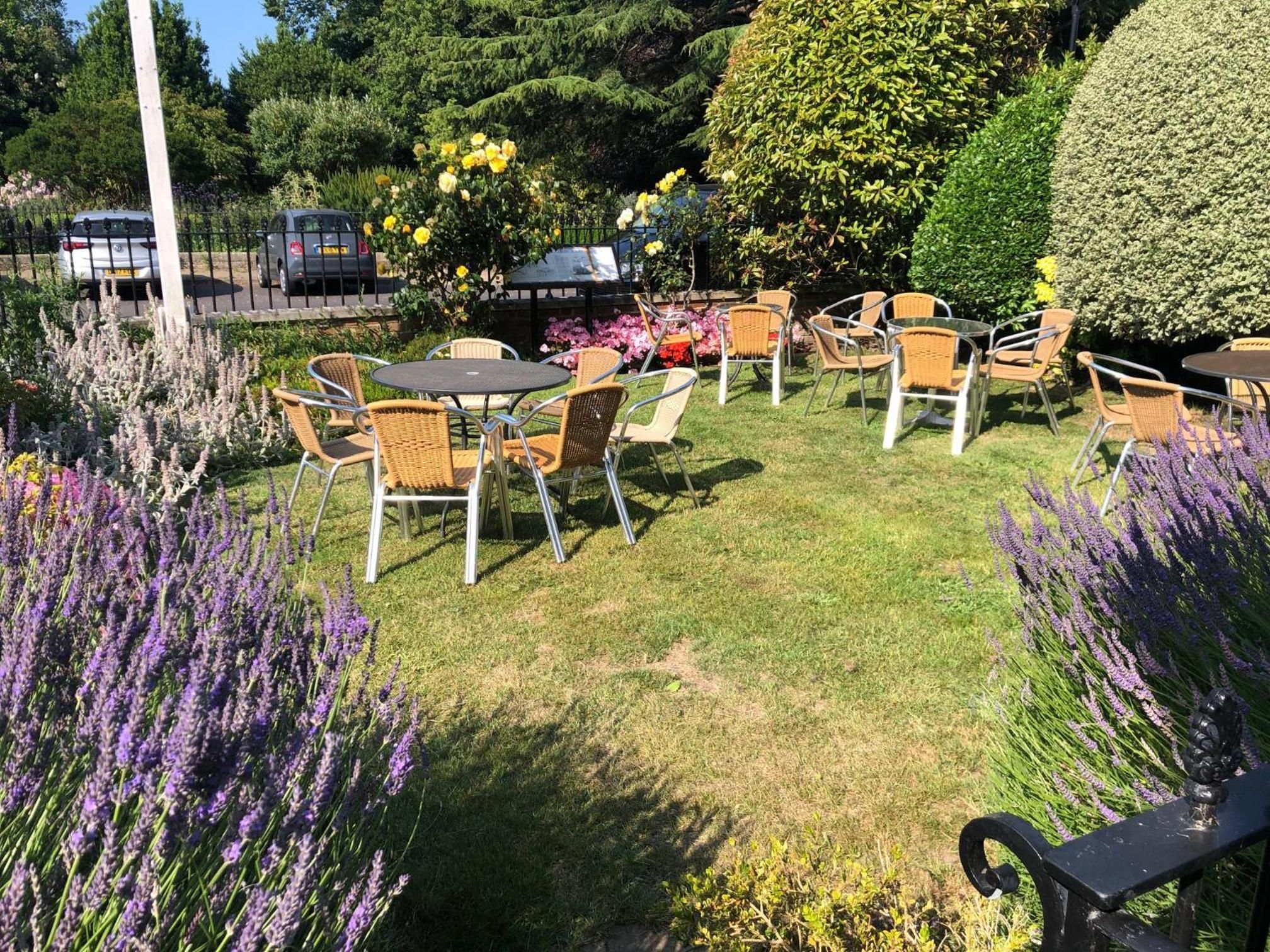 A garden patio with outdoor seating, surrounded by various plants and flowers.
