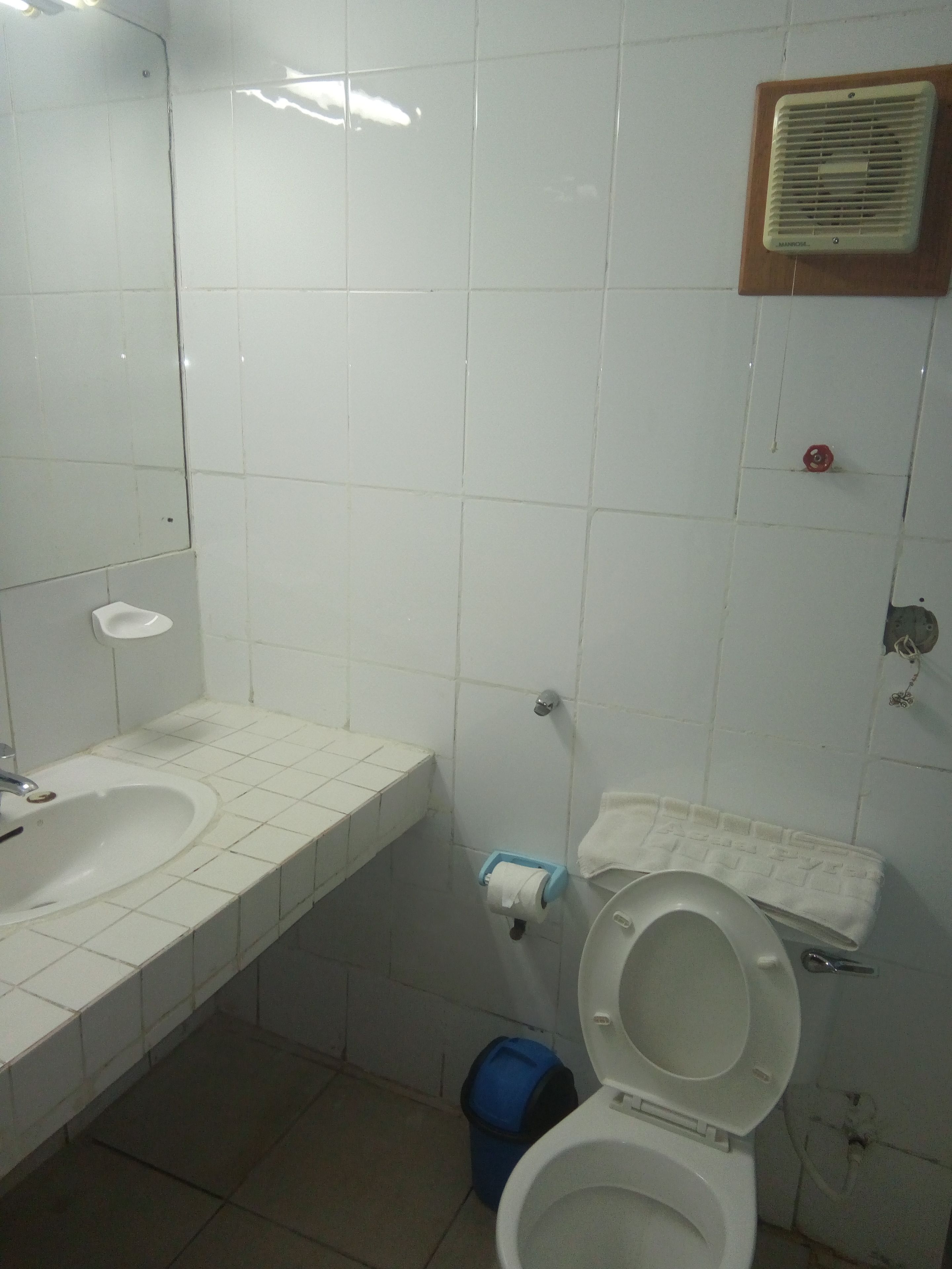 A bathroom with a toilet, sink, and a mirror.