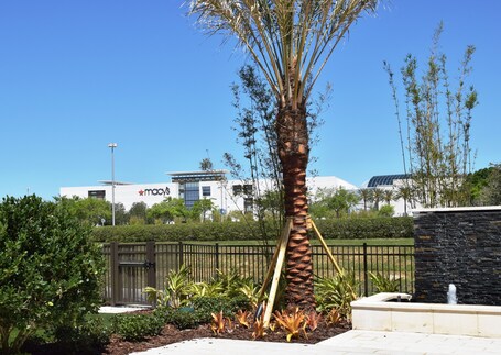 Residence Inn by Marriott Orlando at Millenia - Image 34