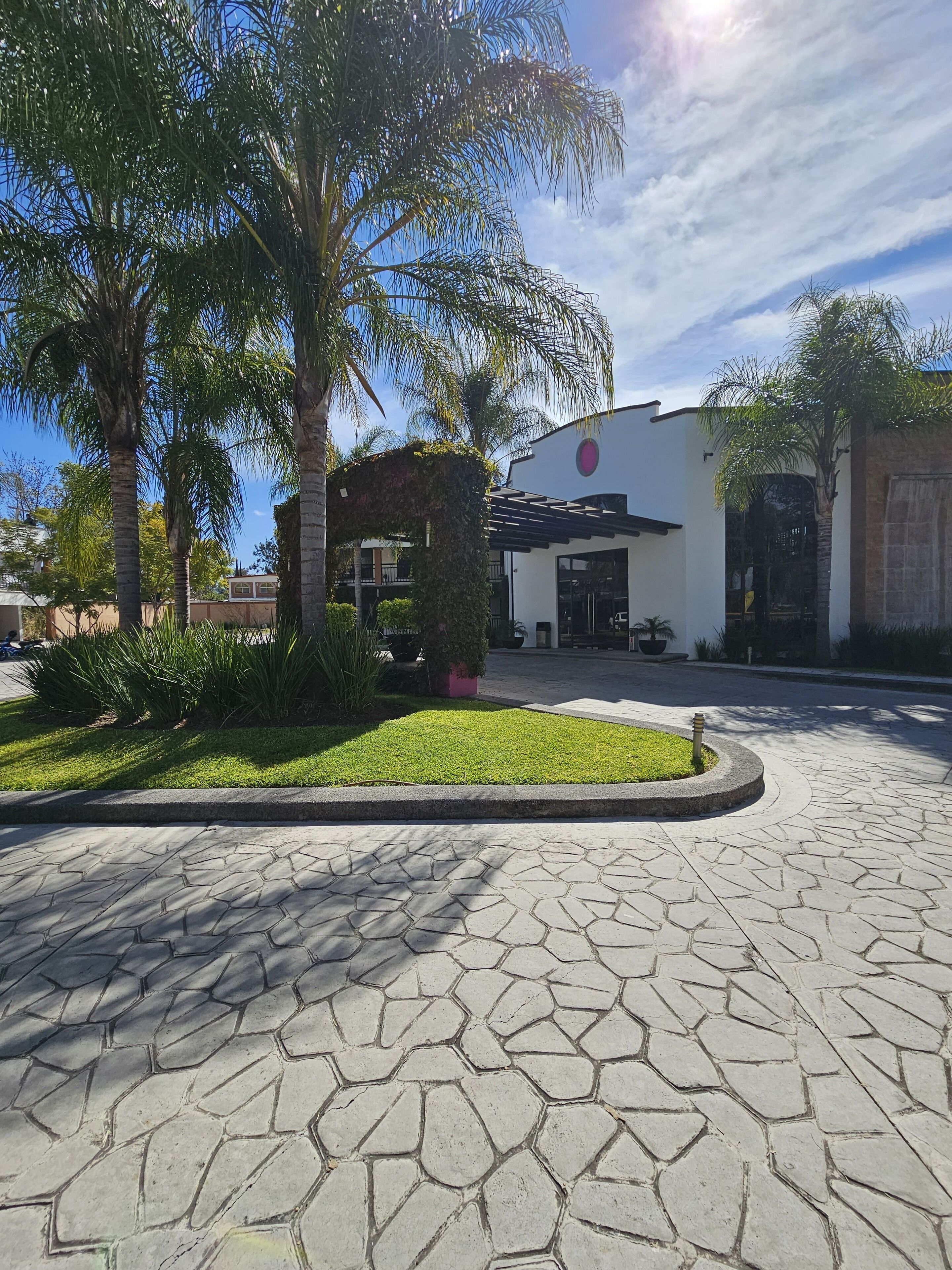 Un sendero pavimentado que conduce a un edificio de diseño moderno, rodeado de palmeras y un césped cuidado.