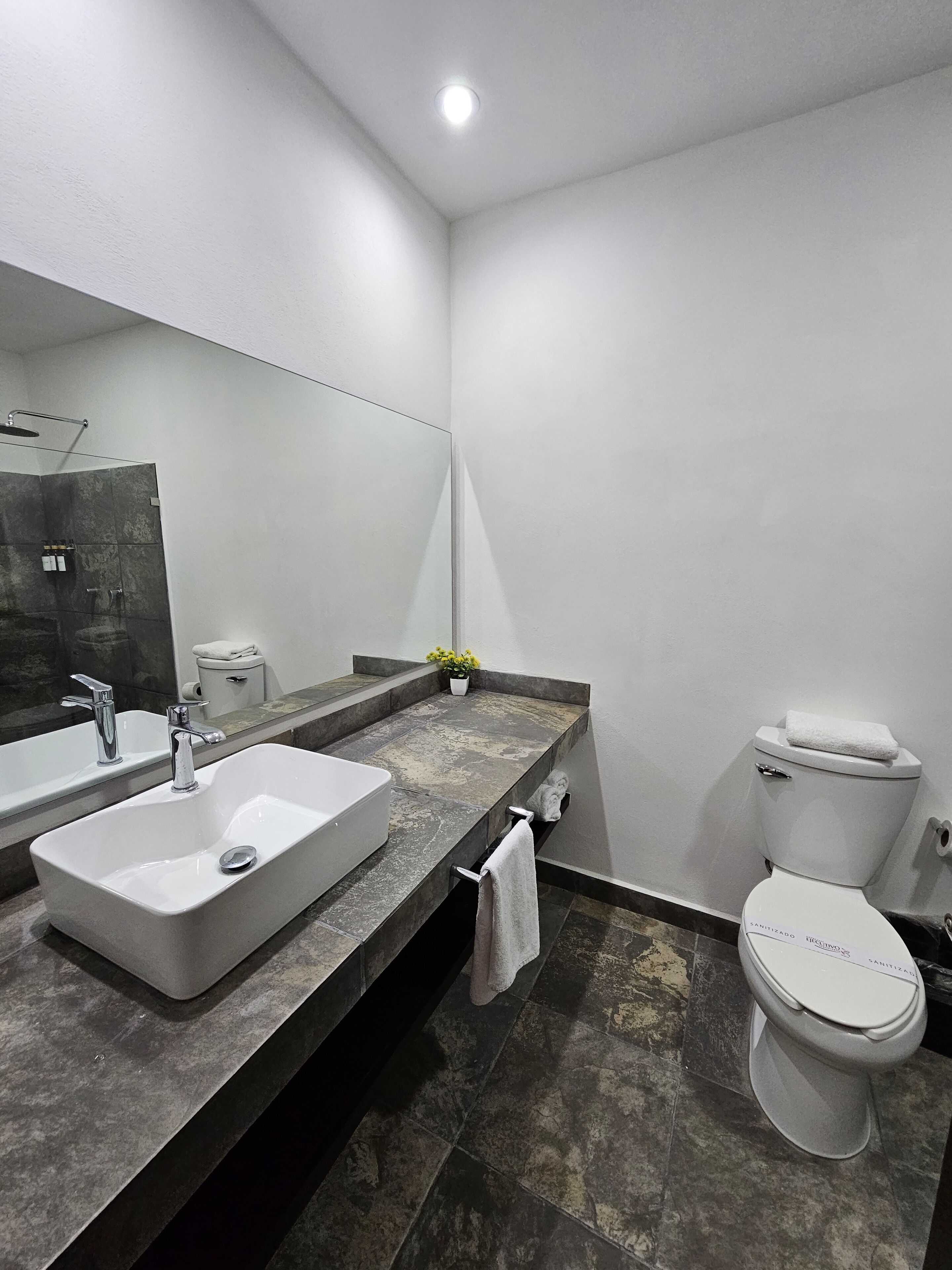 Foto - Hotel Ejecutivo Aeropuerto Morelia