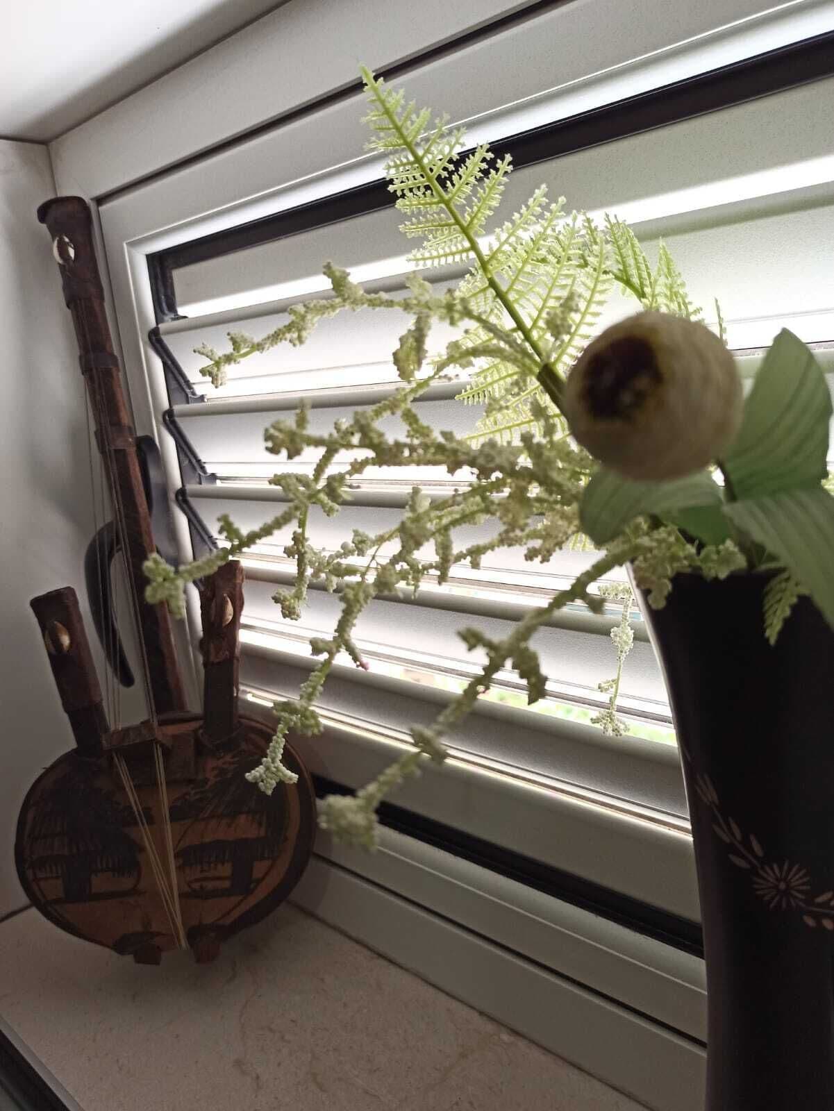 A window with a plant and a guitar leaning against the window frame.