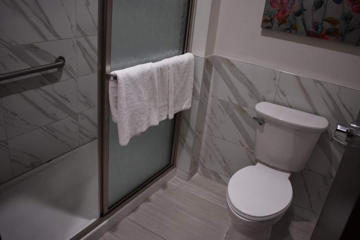 Shower, free toiletries, hair dryer, towels
