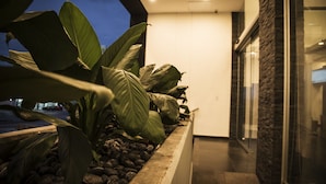A planter with large green leaves and a stone border, adjacent to a building with a glass entrance and a stone wall. - Lithio Hotel (Veracruz)