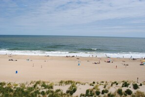 On the beach