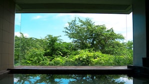 Vista de una piscina que refleja claramente árboles y el cielo.