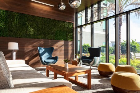 SpringHill Suites by Marriott Orlando at Millenia - Image 19