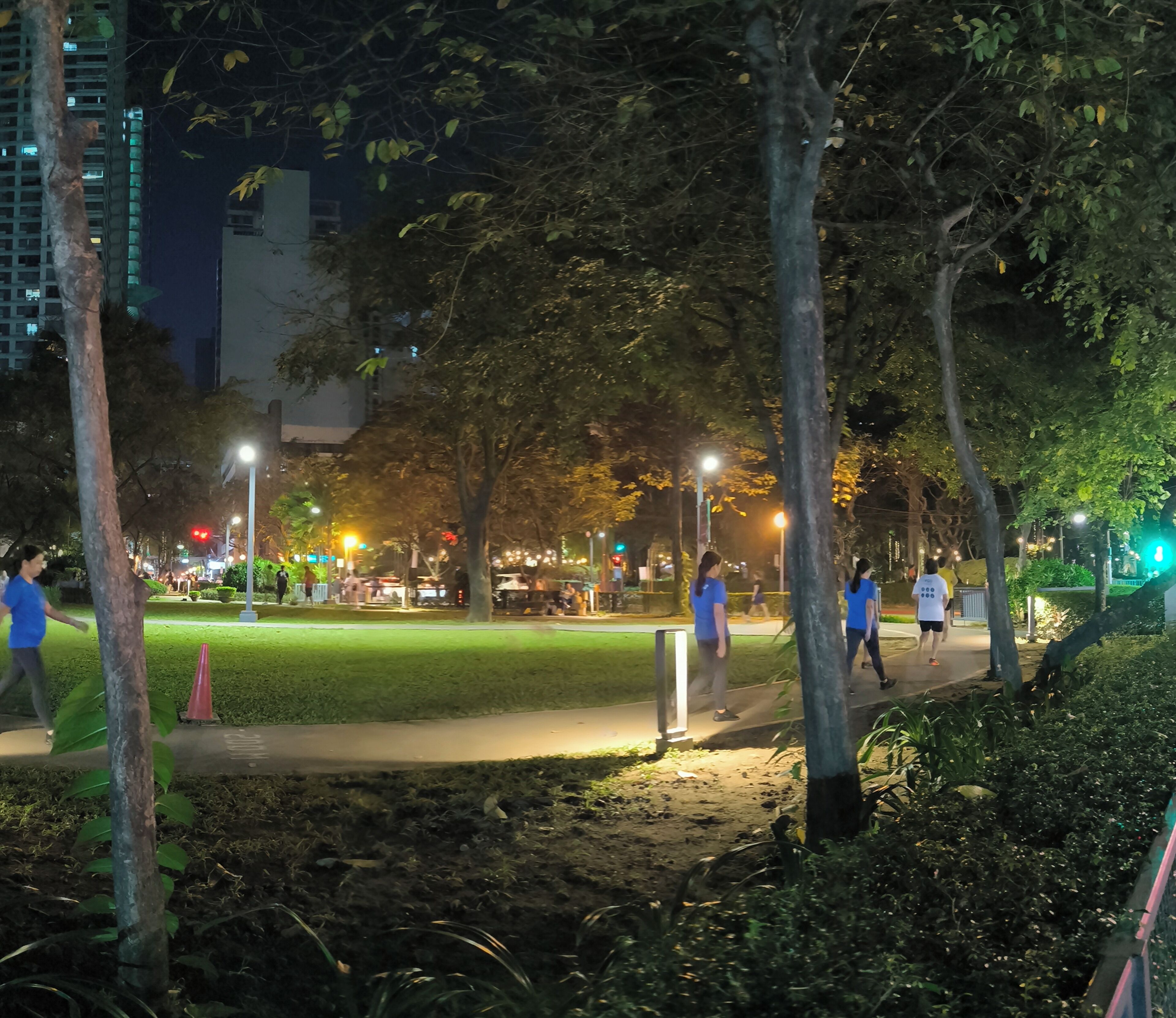 Taman