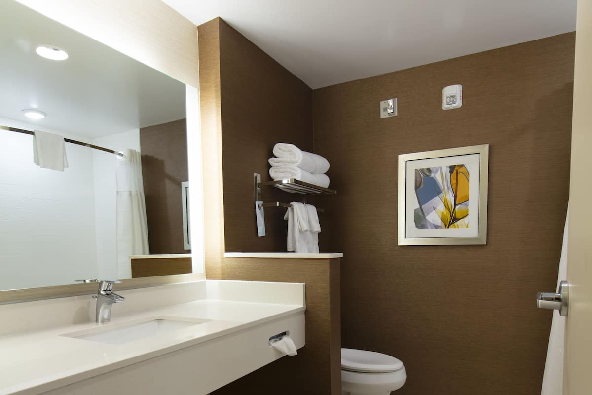 Shower, free toiletries, hair dryer, towels