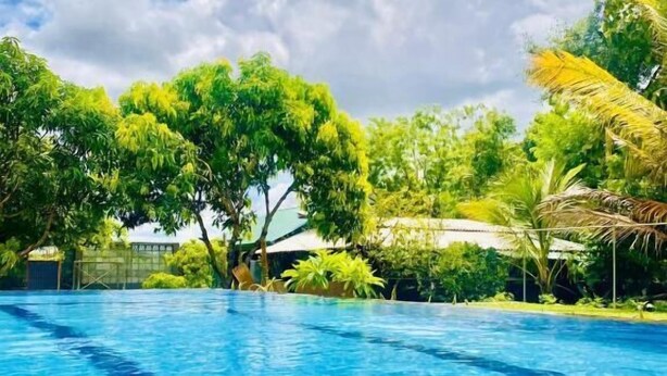 A clear blue swimming pool surrounded by lush greenery and trees. - Organic Garden Sigiriya (Avudangawa)