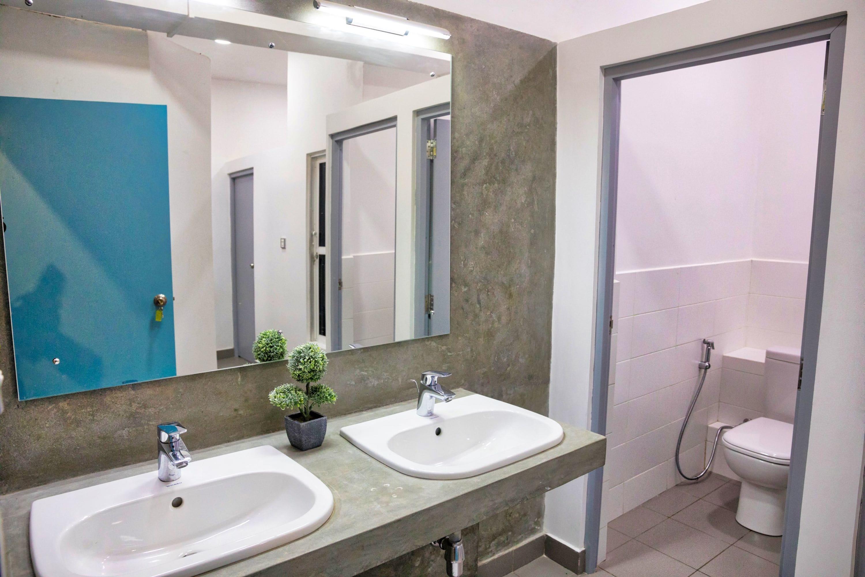 A bathroom with two sinks, a mirror, a small potted plant, and a toilet.