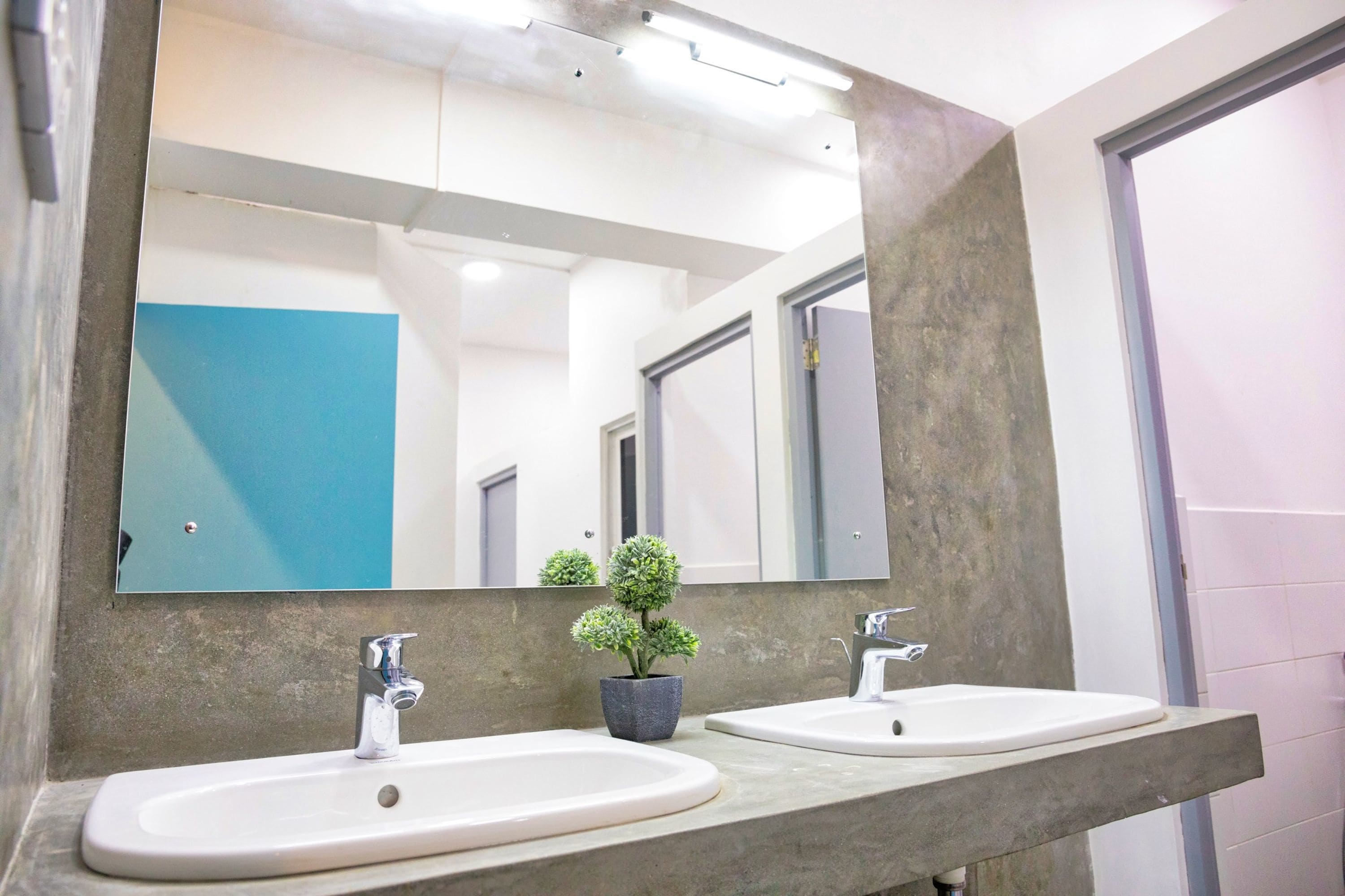 A bathroom with two sinks, a large mirror, and a small potted plant.