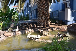 Overnattingsstedets uteområder