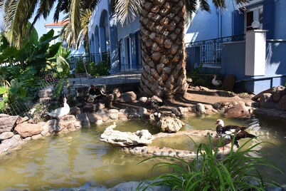 Blue Sky Hotel