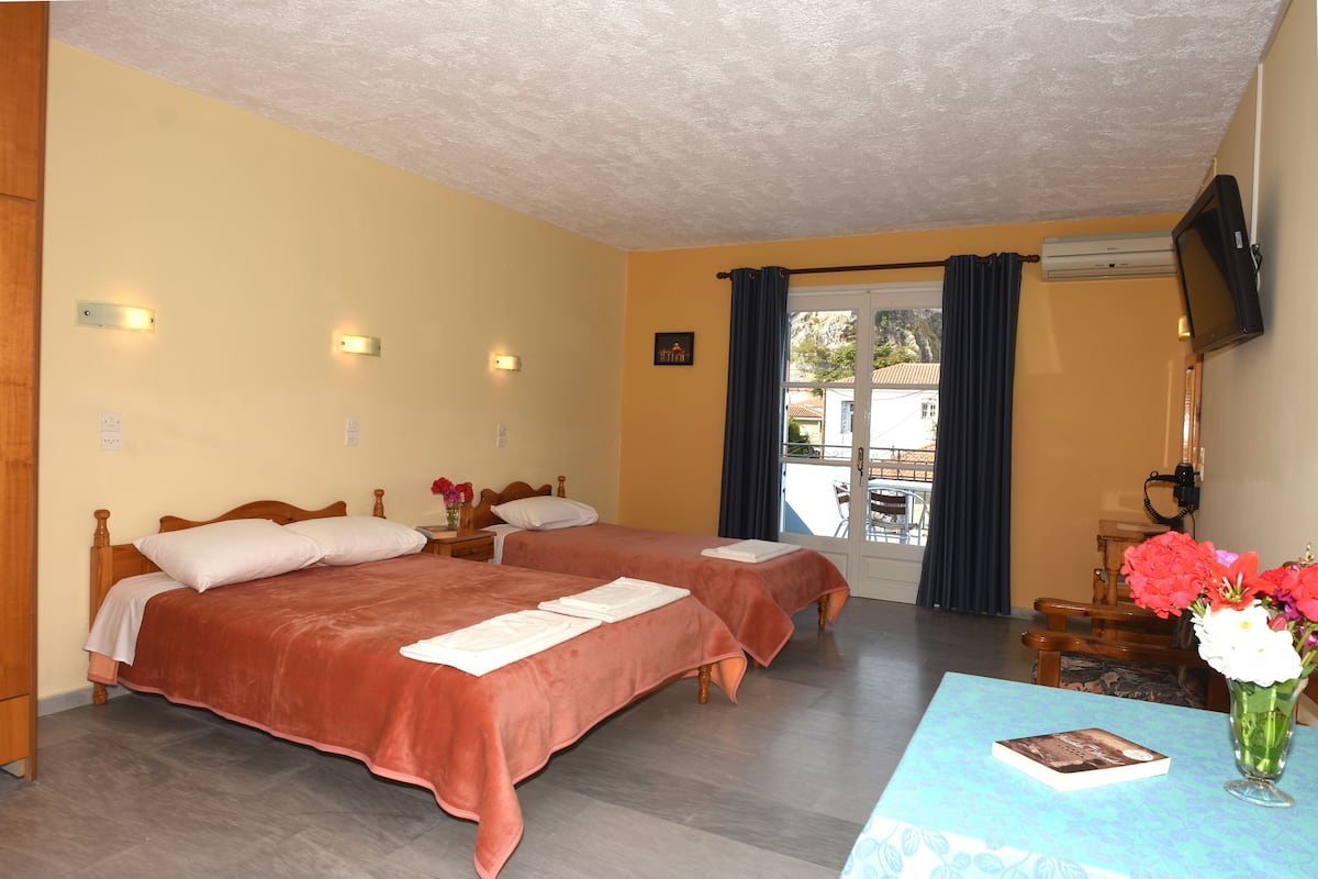 A hotel room with two beds, a TV, a table with a vase of flowers, and a view of the outside.