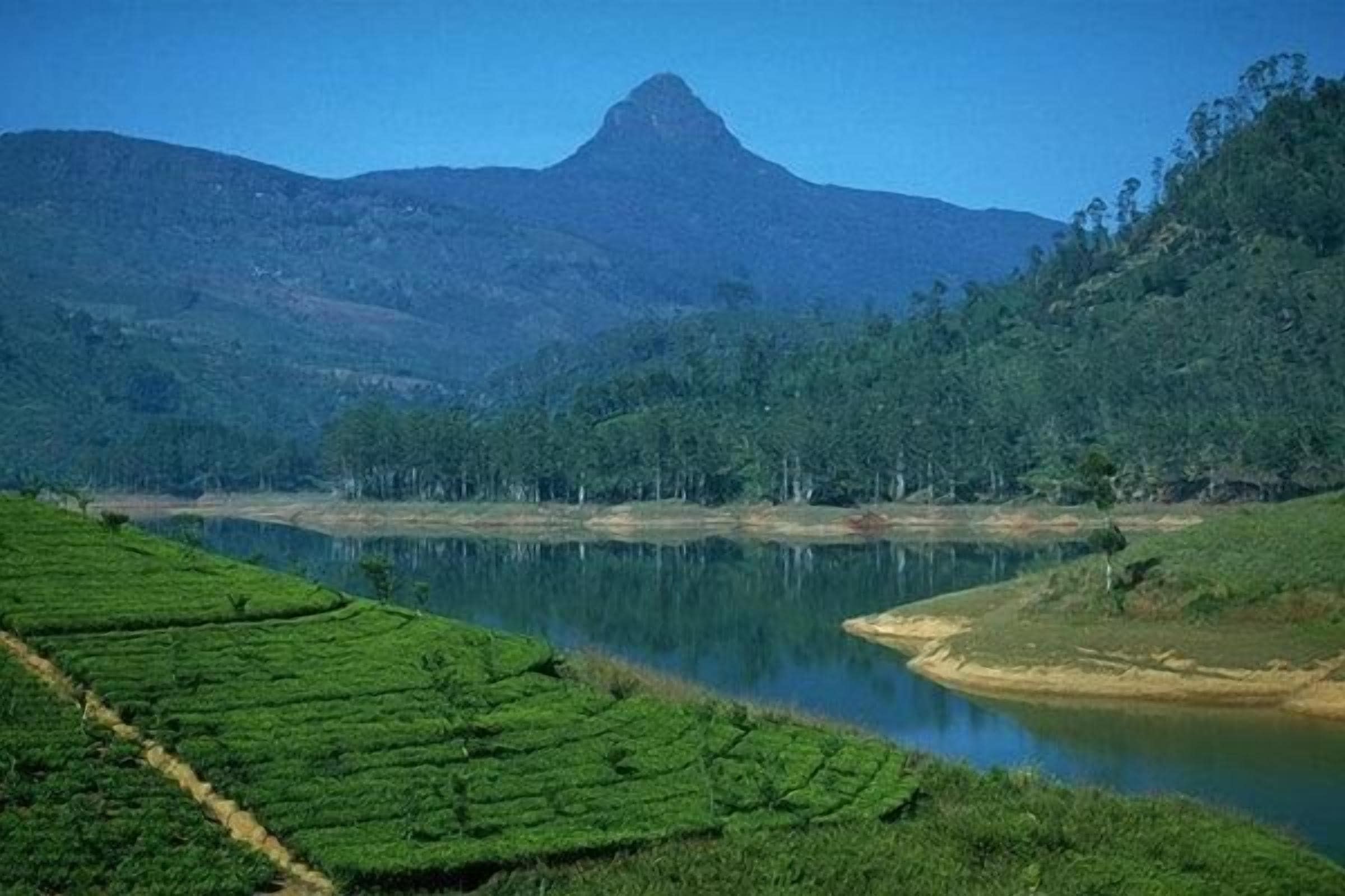 Un paysage comprenant une montagne en arrière-plan, une étendue d’eau et des champs en terrasses.