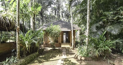Dudhsagar Plantation