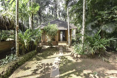 Dudhsagar Plantation