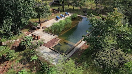 Una piscina al aire libre, sillones reclinables de piscina. Dudhsagar Plantation