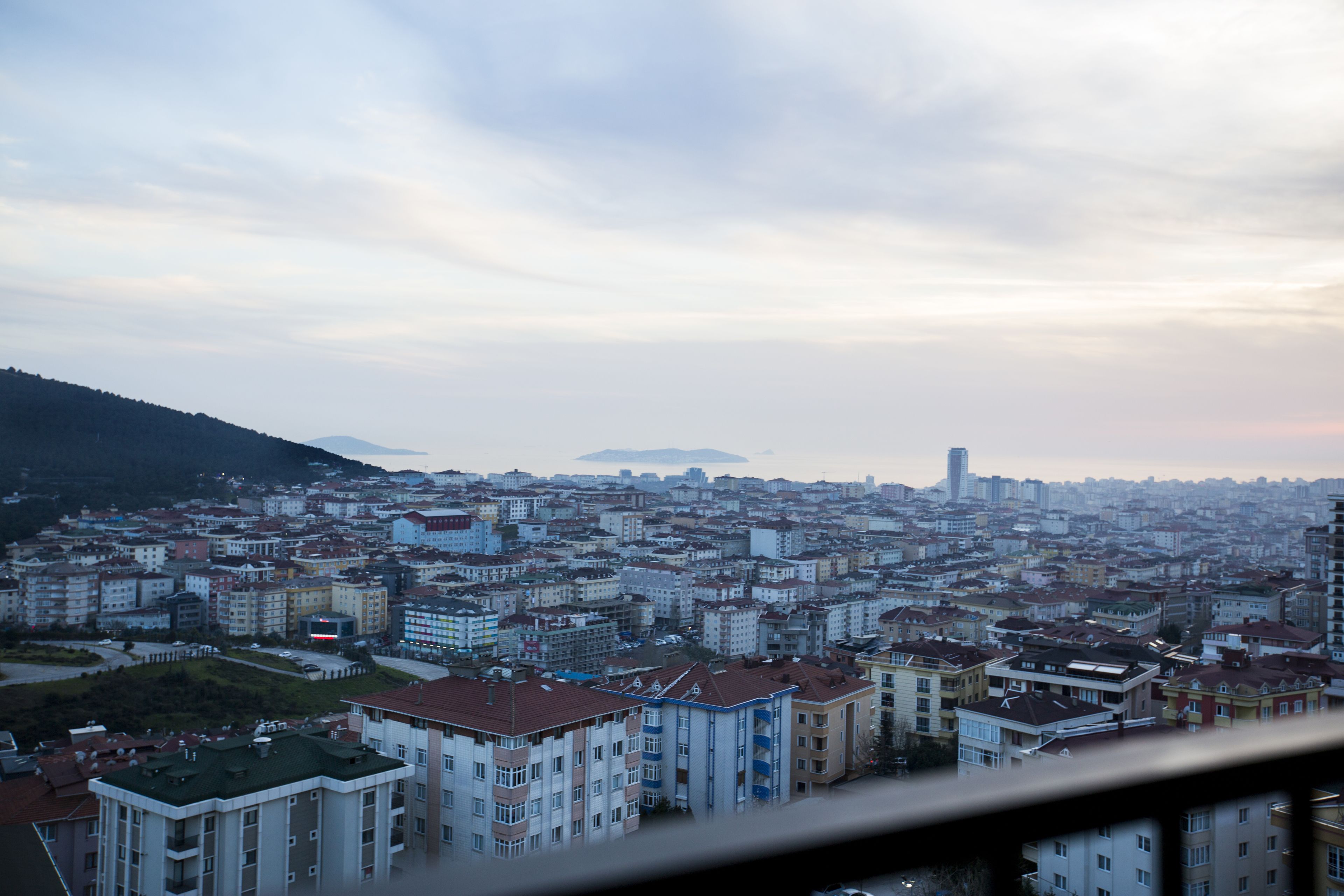 A cityscape with a variety of building types, including residential and commercial structures, under a cloudy sky.