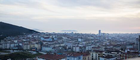 A cityscape with a variety of building types, including residential and commercial structures, under a cloudy sky.