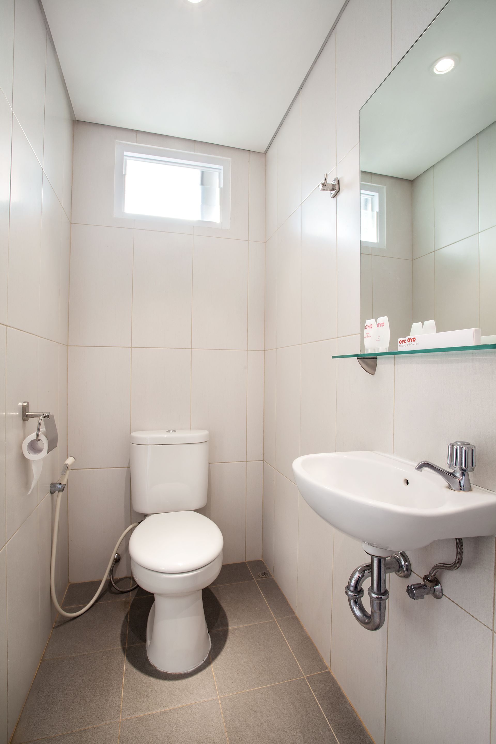 Foto - Flagship 101 Apple Platinum