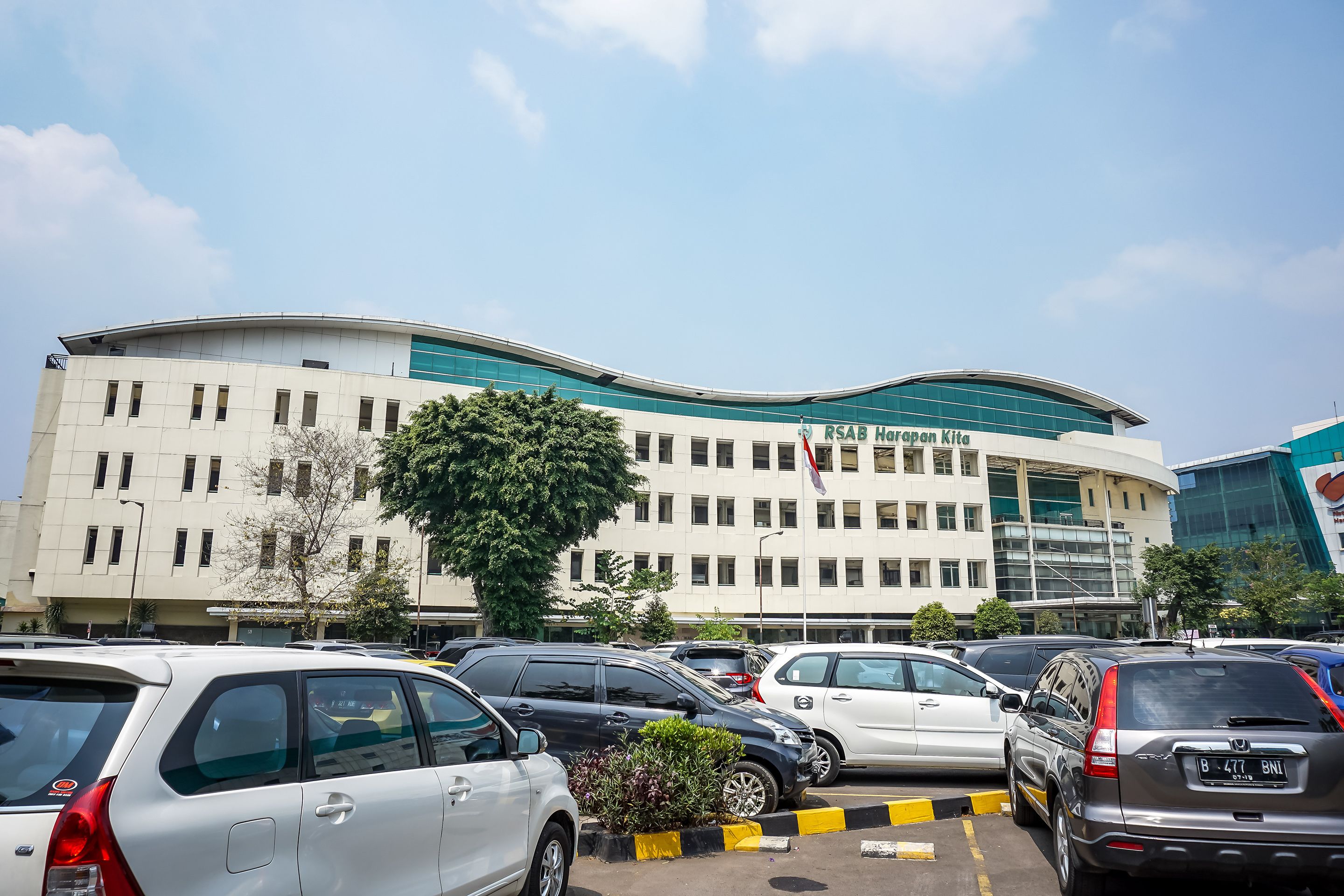 Foto - Flagship 101 Apple Platinum