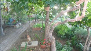 A garden with potted plants, a statue, and a stone bench. - Apartments Markic (Seget)