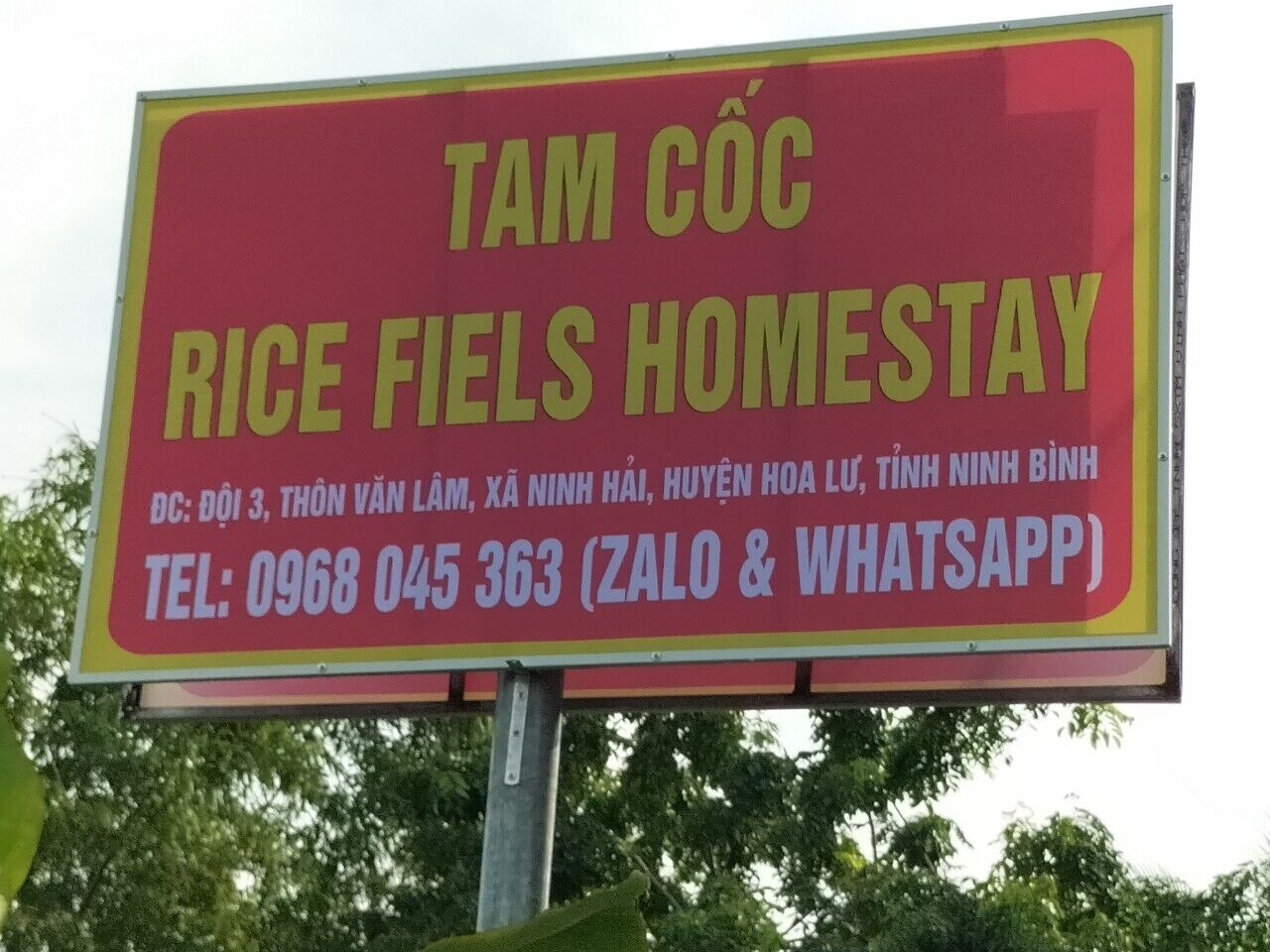 Señal de un alojamiento familiar llamado 'TAM CÔC RICE FIELS HOMESTAY' con información de contacto, incluyendo un número de teléfono y WhatsApp.